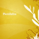 portfolio portfolio